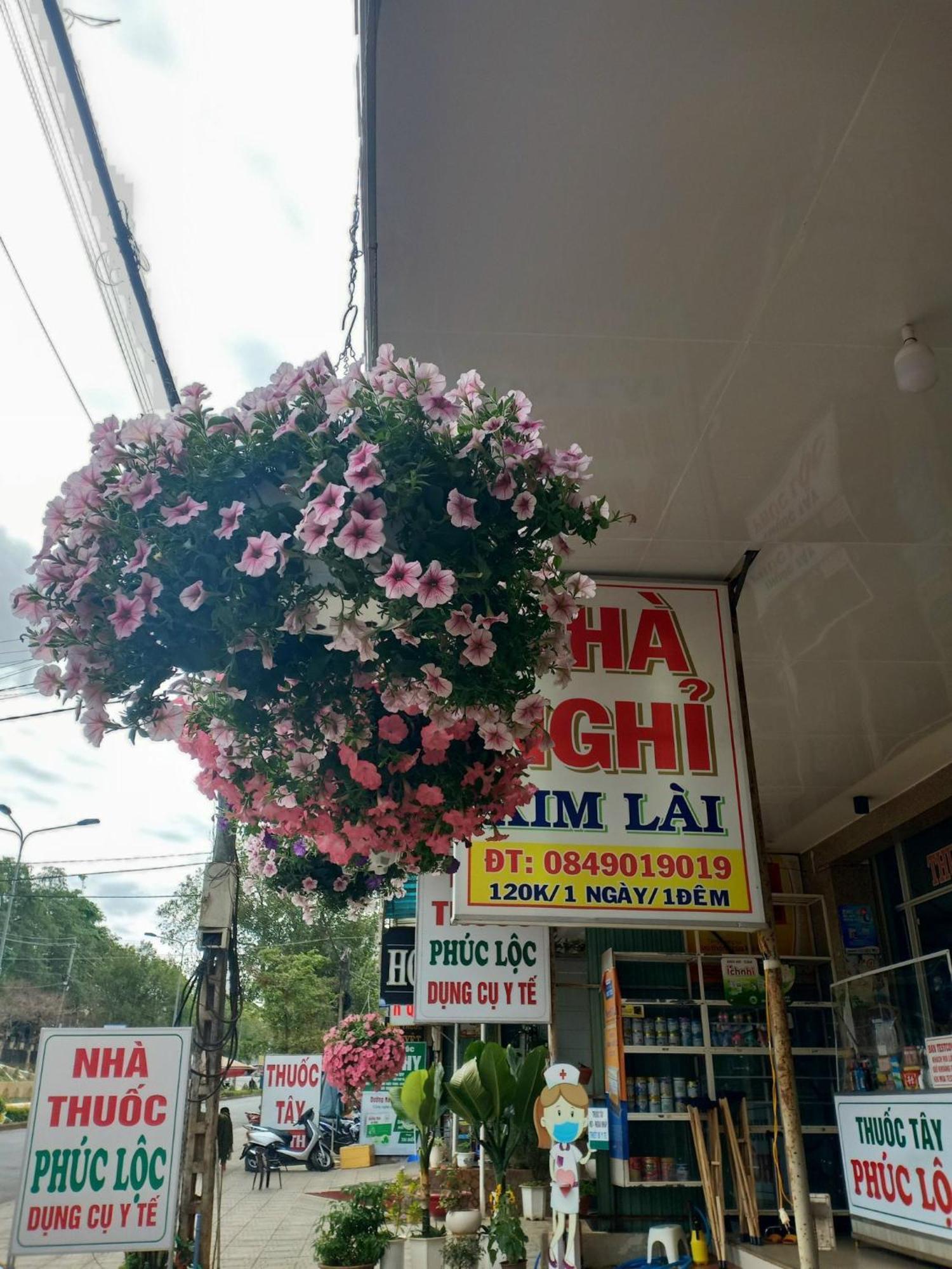 Nha Nghi Kim Lai - Doi Dien Benh Vien Tinh Gia Lai -132 Ton That Tung Плейку Екстер'єр фото